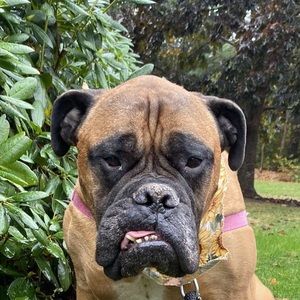 Meet your Posher, Reed